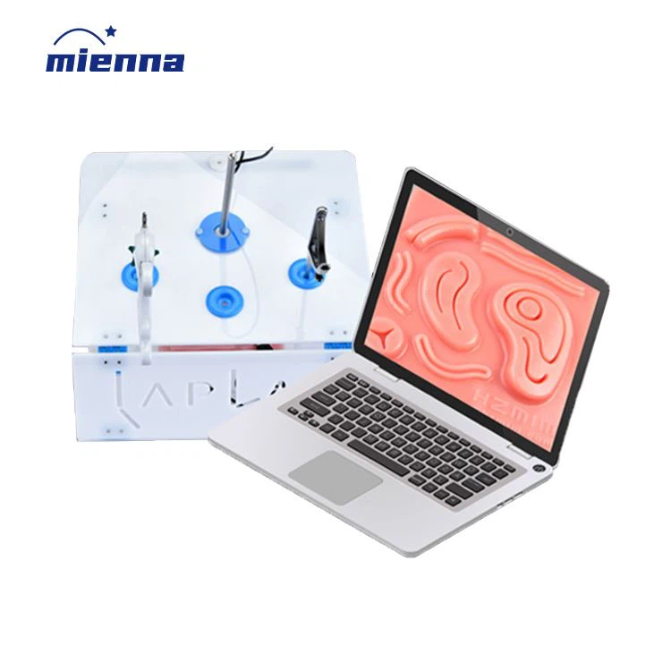 2024 মেডিকেল ল্যাপারোস্কোপি প্রশিক্ষণ বক্স ল্যাপারোস্কোপিক সিমুলেটর