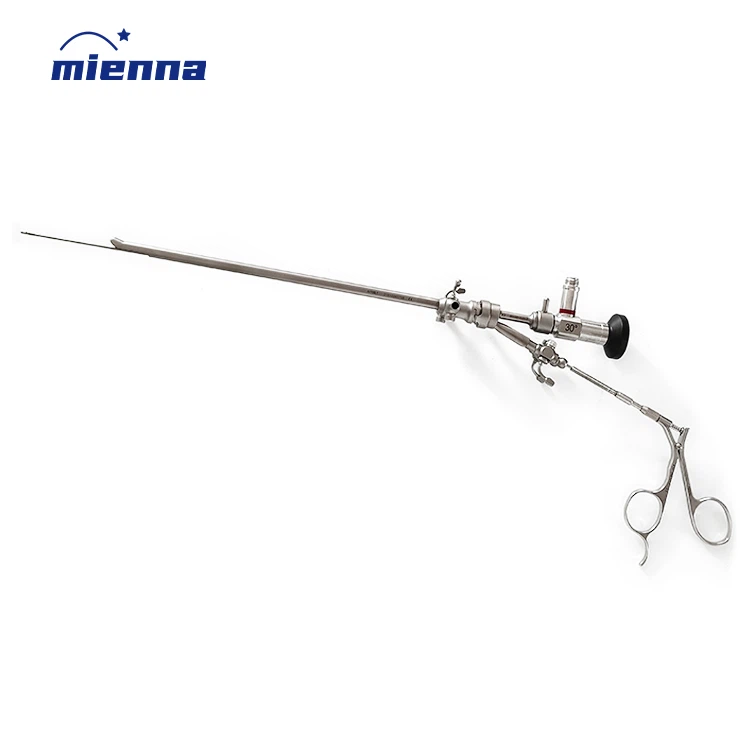 IMG20210917145340 IMG20210917145340