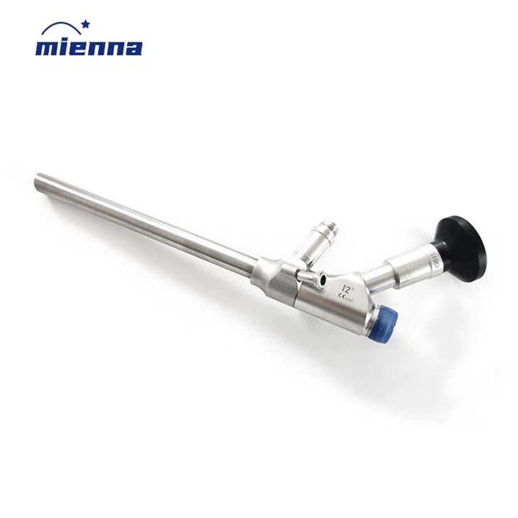 Spine Interlaminar Endoscopic Discectomy